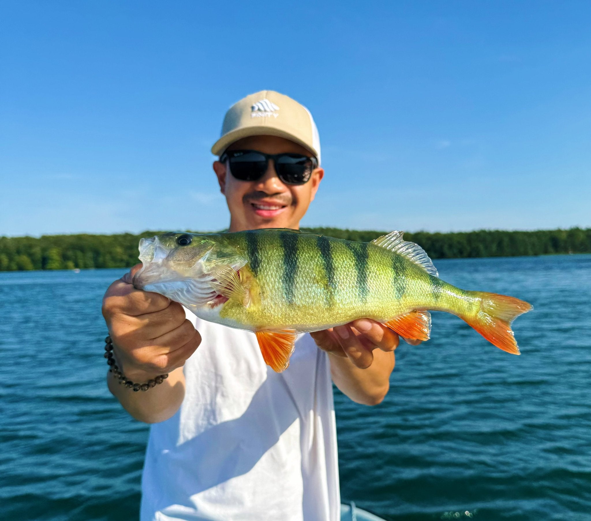 Die besten Barsch-Hardbaits – Wobbler, Spinner & Co. - Polarfang