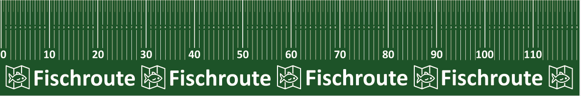 Fischroute Scale (Maßband) Grün - Haken & Zubehör
