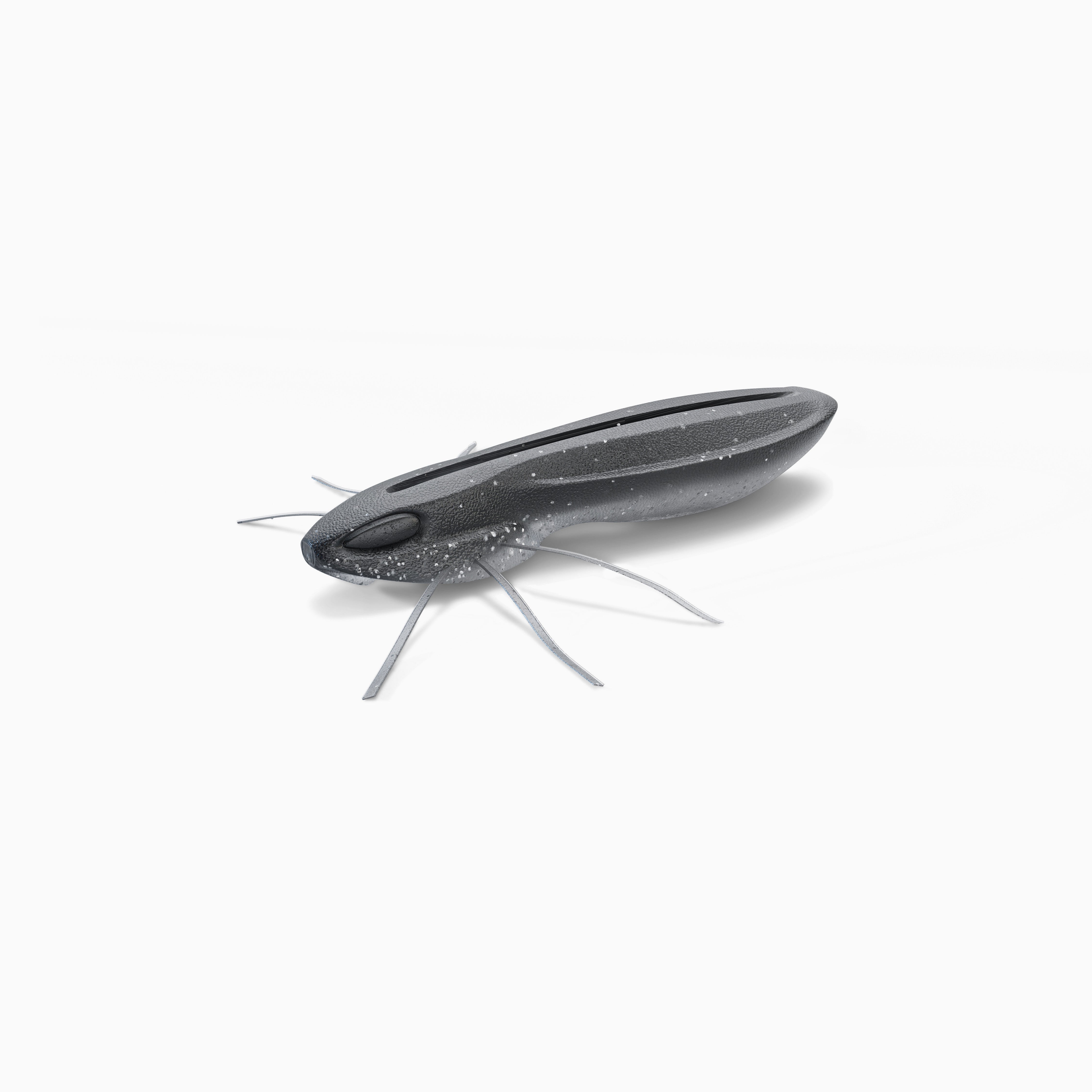 Nays BG 2.0" / 5.1cm C - 31 -