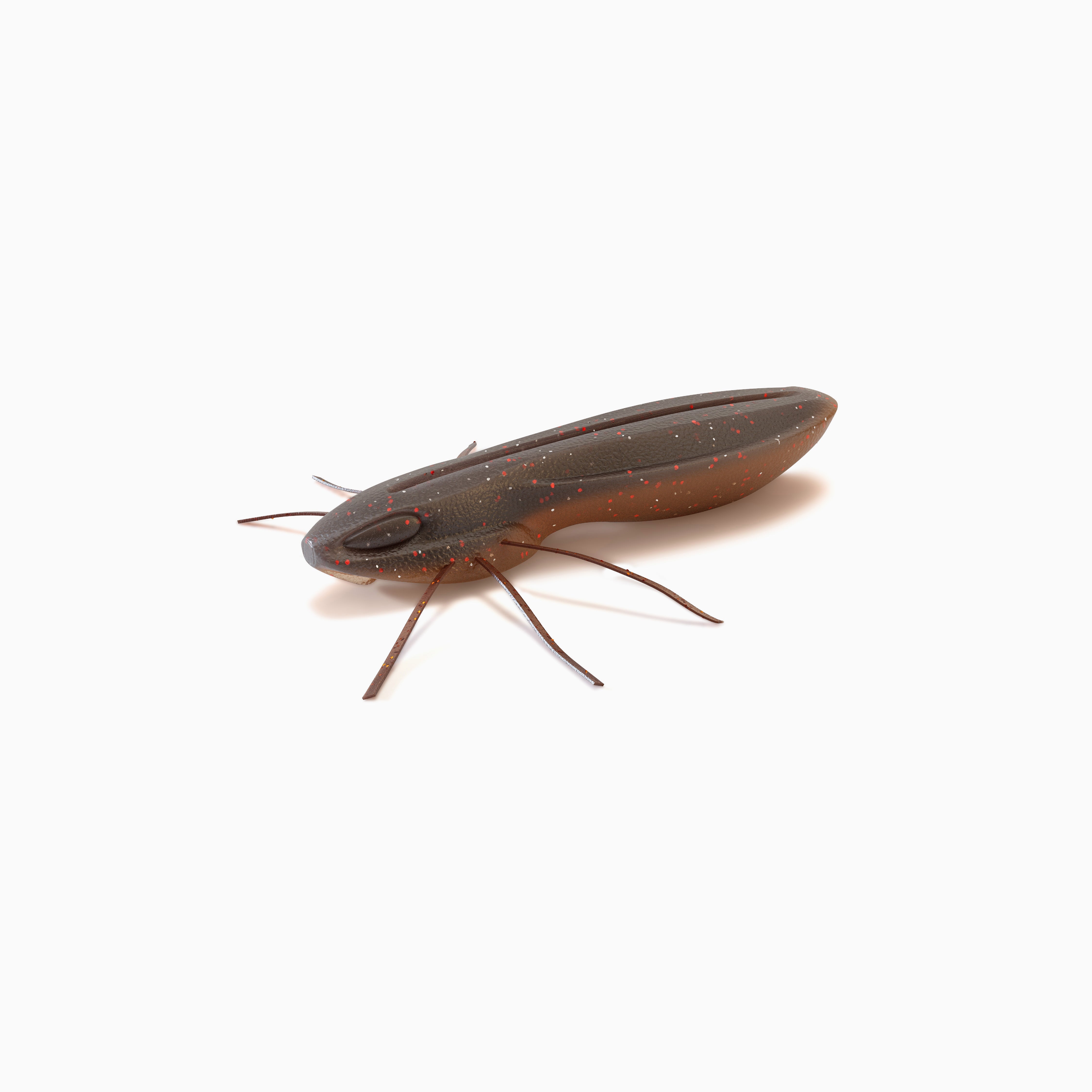 Nays BG 2.0" / 5.1cm C - 27 -