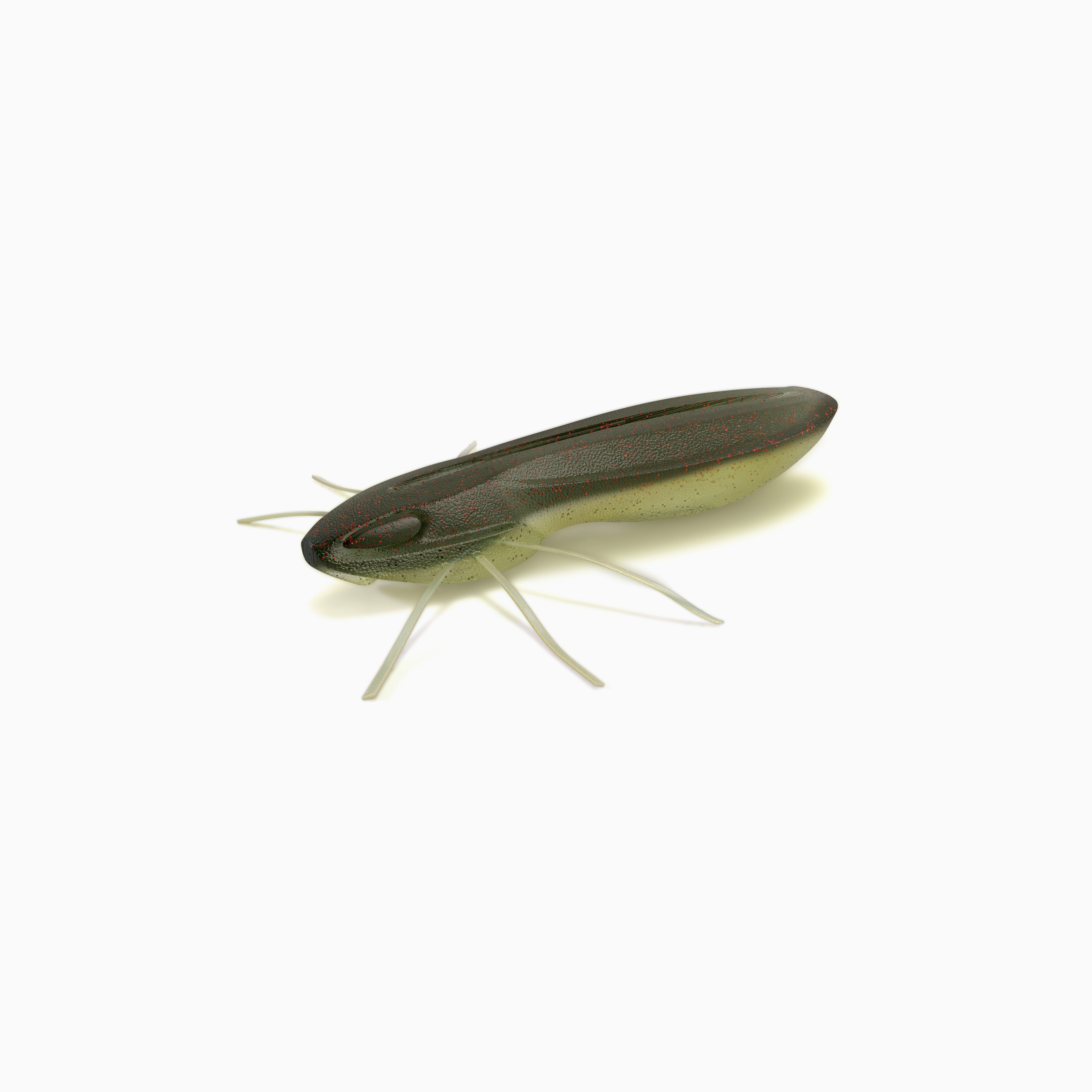Nays BG 2.0" / 5.1cm C - 32 -