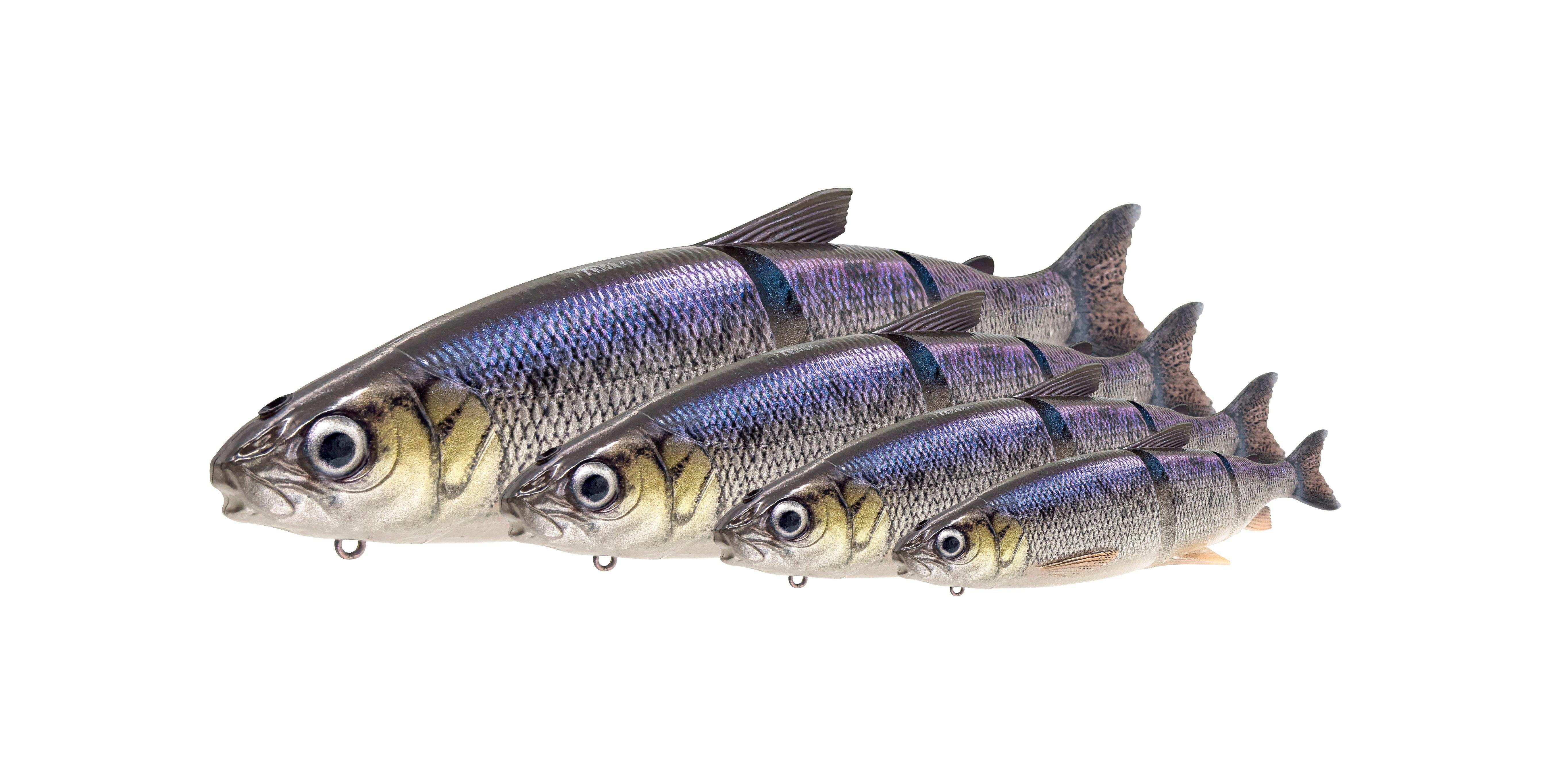 Savage Gear 3D Line Thru Whitefish - Realistische Soft Glidebait 17cm / 53g Whitefish - Glidebait