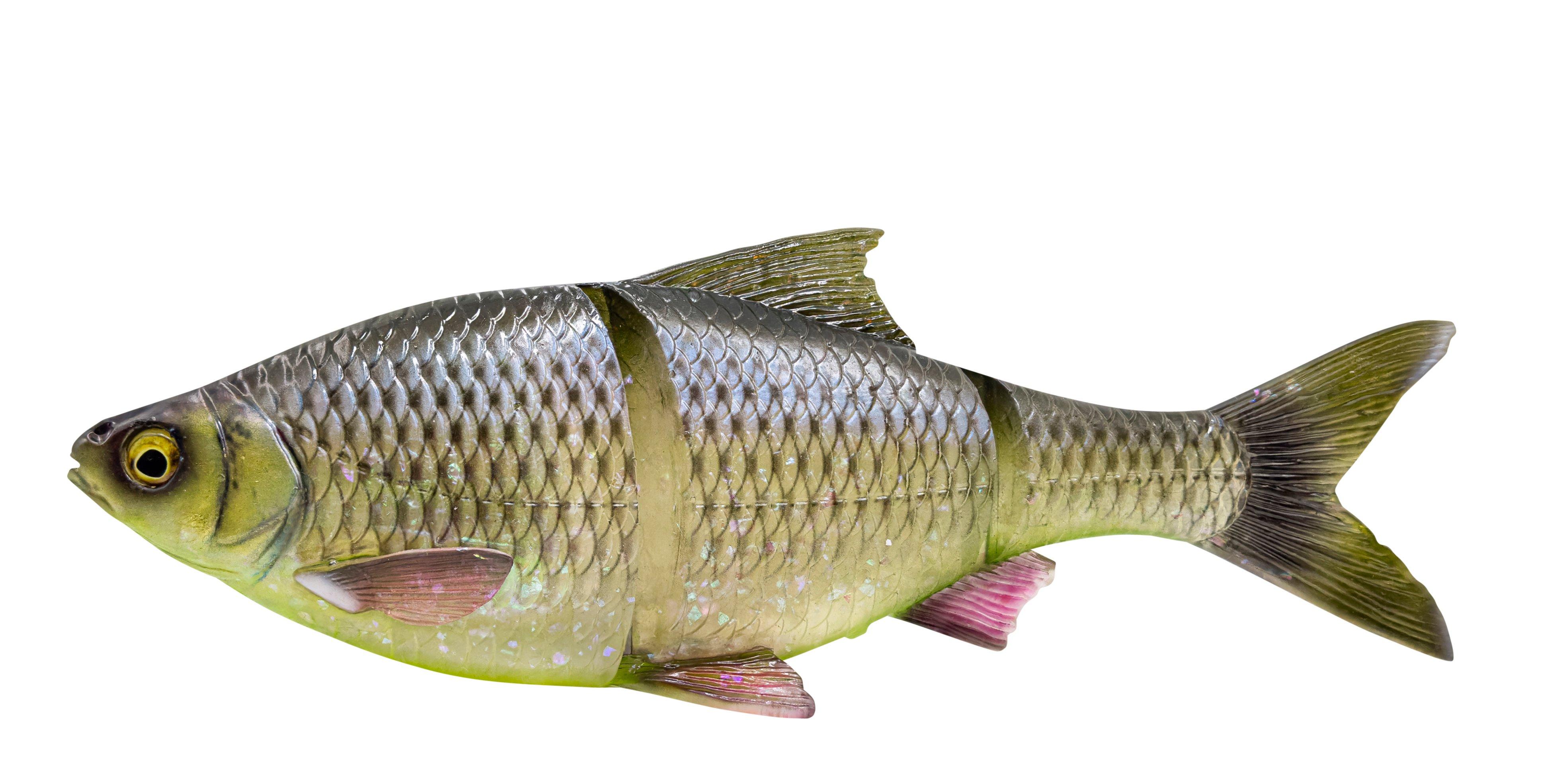Savage Gear 3D LT Roach - Line Thru Swimbait für Hecht 25cm Slow Sinking Hugo - Gummiköder