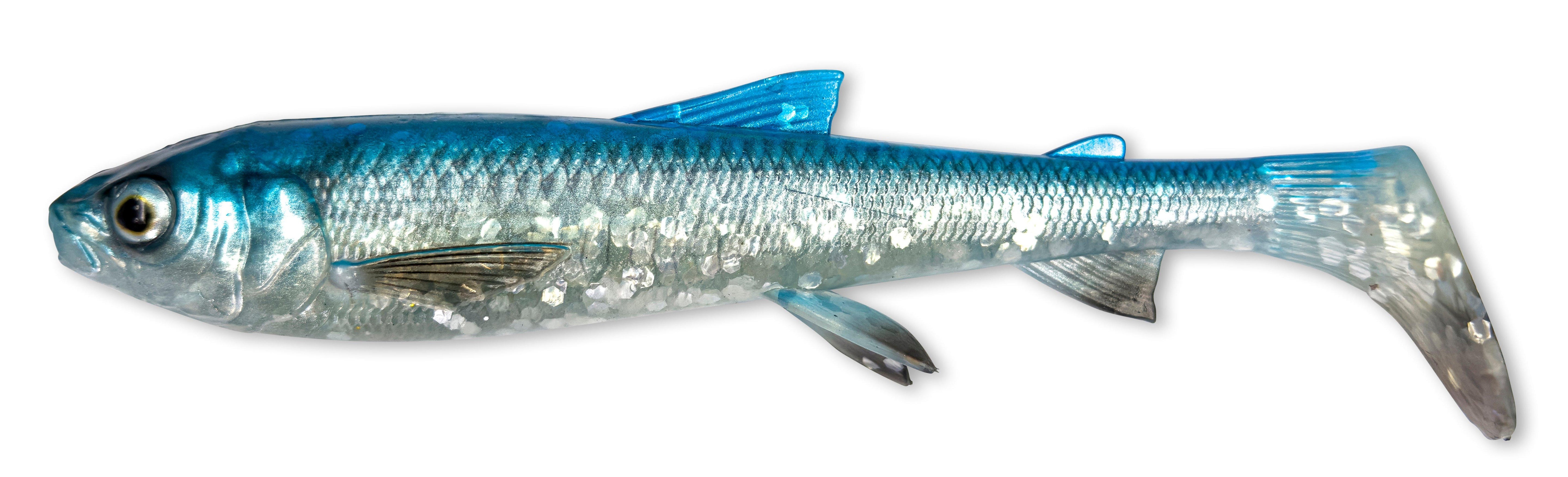 Savage Gear 3D Whitefish Shad 15cm / 27g / 2 Stk Blue Silver -