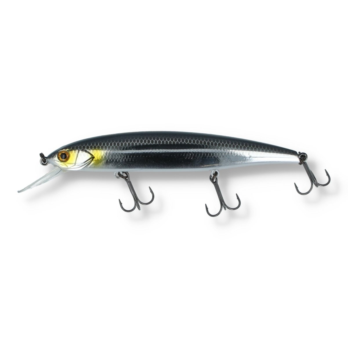 Zander Bundle Box - 