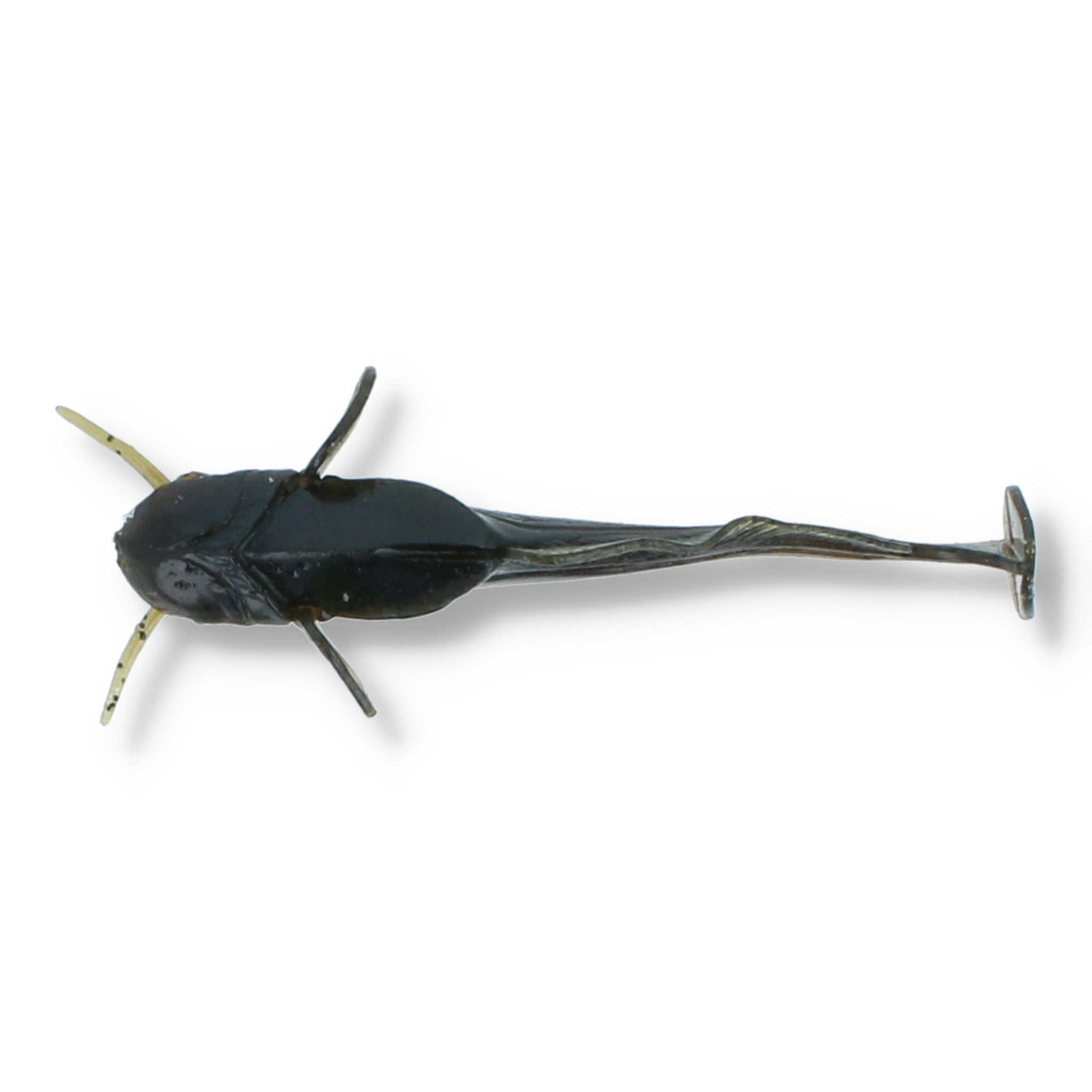 Fish Up Catfish 3" - Special Edition