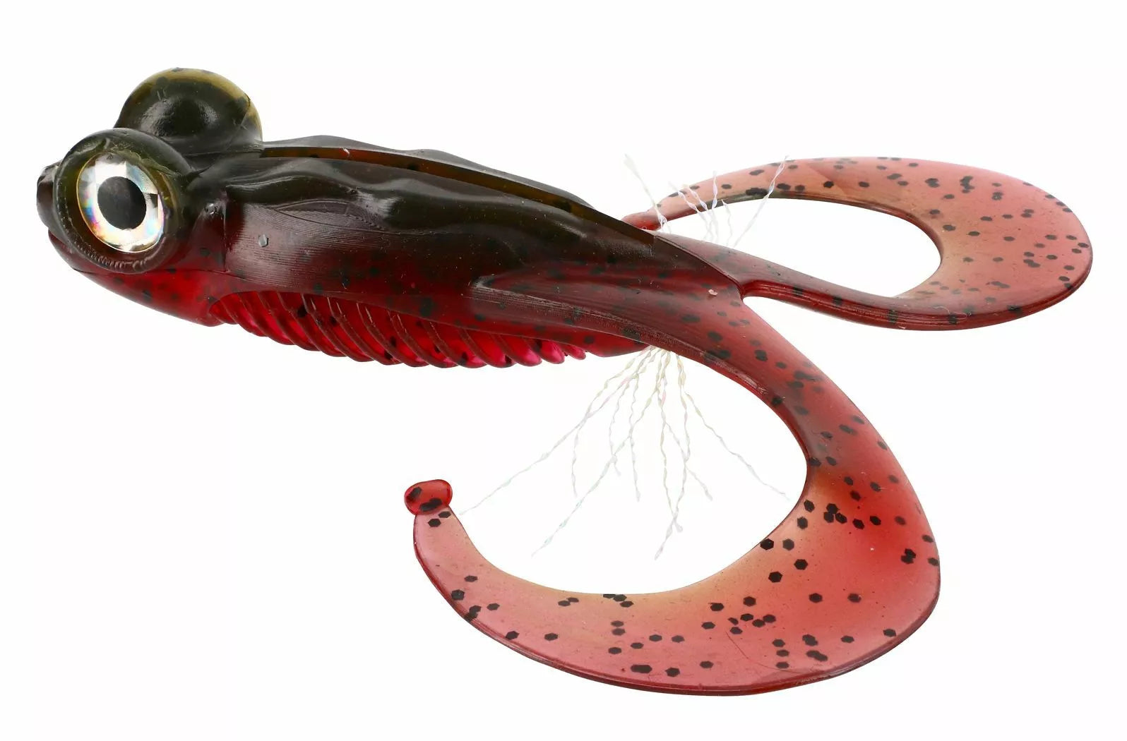 Gunki Bull Frog 100