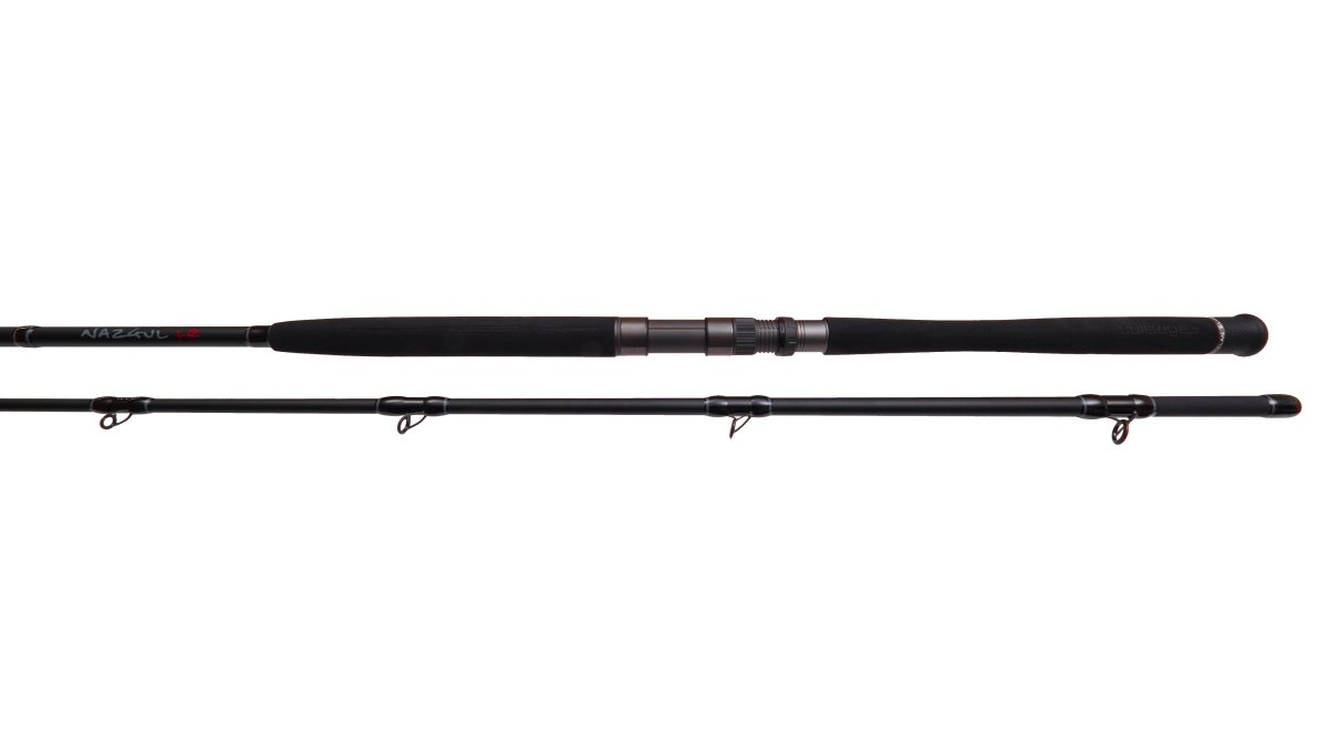 Bullseye Nazgul Wallerrute (2 - teilig) 260cm (30lbs) - Angelrute