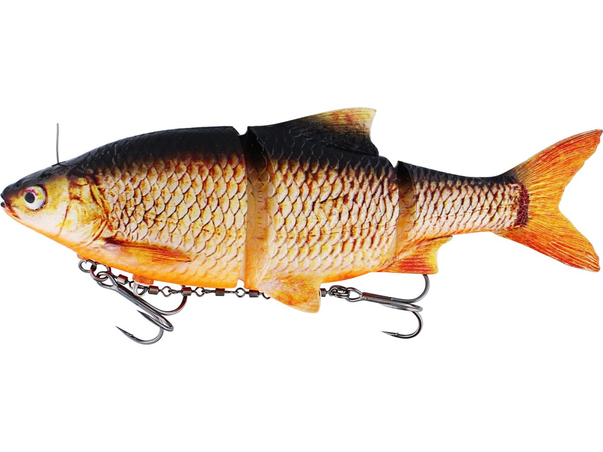 Westin Ricky The Roach Inline | 15cm / 20cm / 25cm / 35cm | Sinking & Slow Sinking 15cm Sinking Real Rudd - Kunstköder