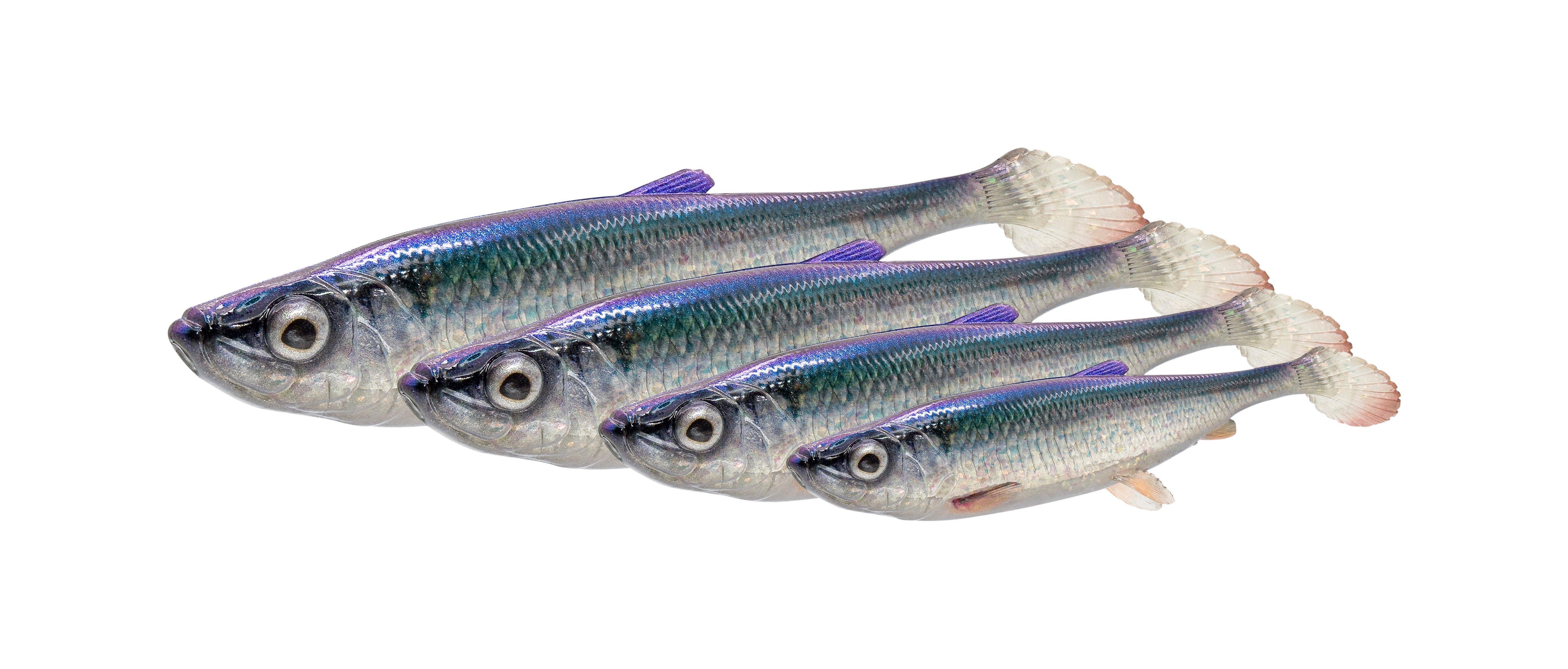 Savage Gear 3D Herring Shad V2 15cm / 23g / 2 Stk Herring - Gummifisch