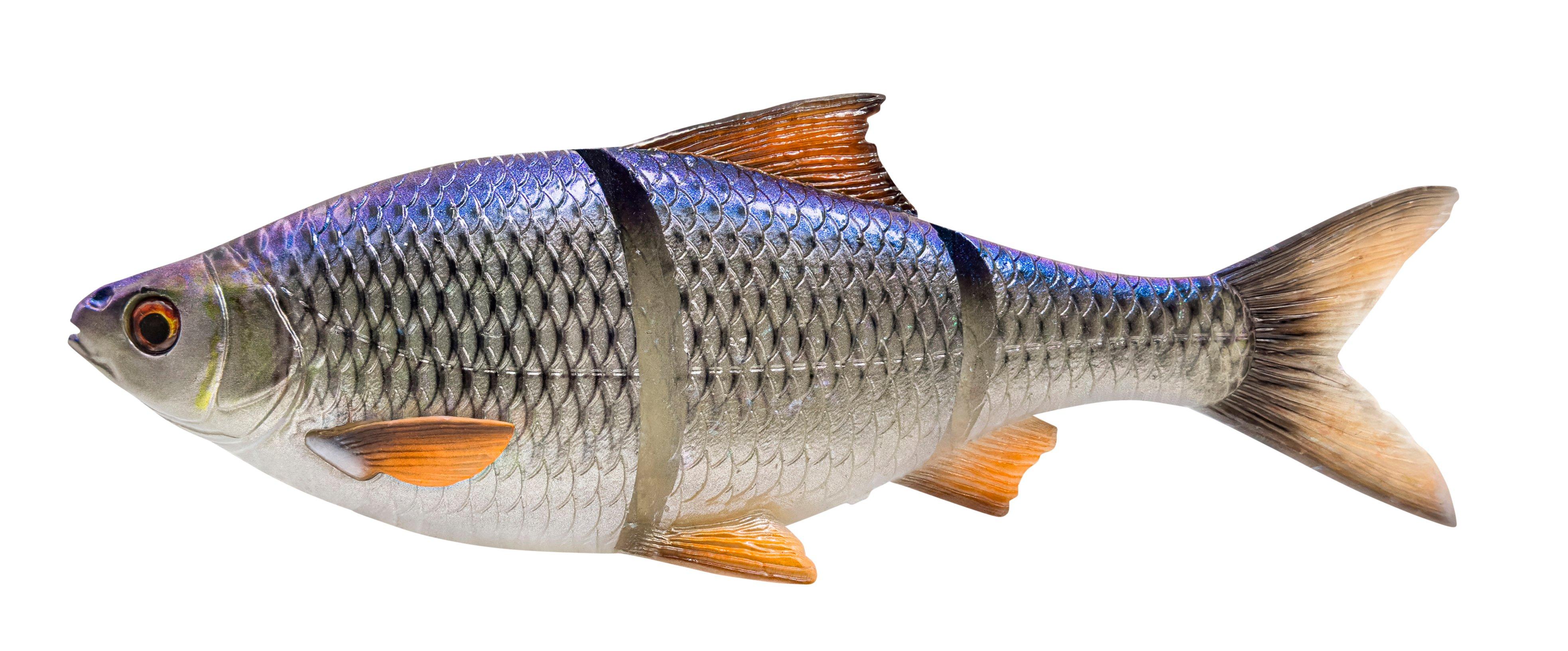 Savage Gear 3D LT Roach - Line Thru Swimbait für Hecht 18cm Slow Sinking Blue Roach - Gummiköder
