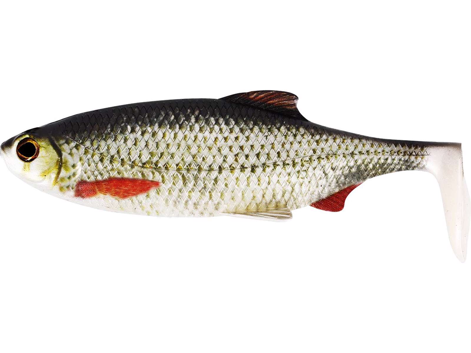 Westin Ricky The Roach Shadtail 14cm (5.5")